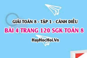 Giải bài 4 trang 120 Toán 8 Tập 1 SGK Cánh Diều